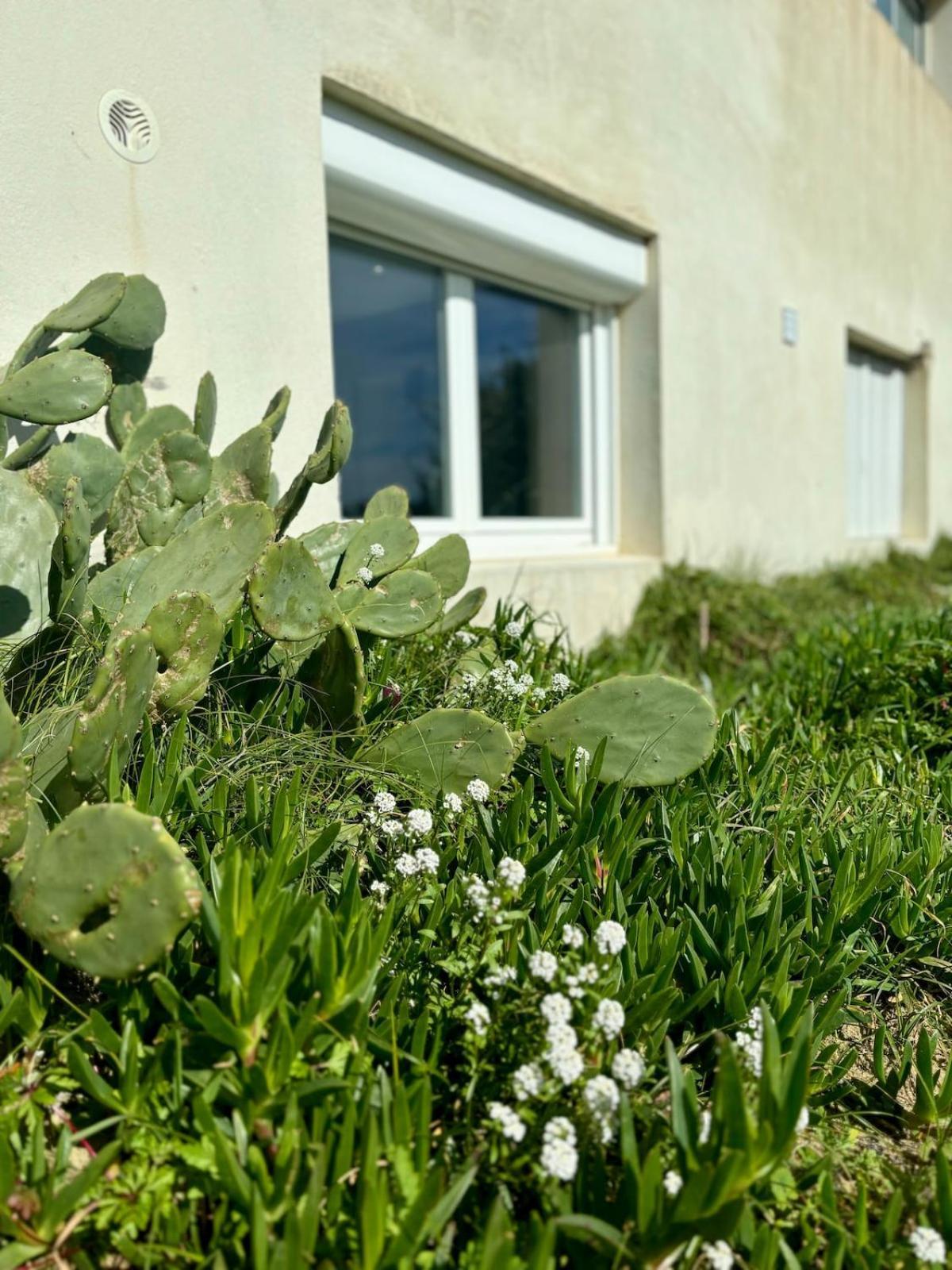 La Graviere, Cozy Studio Wifi & Parking 20M Ocean Surf Plage Soorts-Hossegor Buitenkant foto
